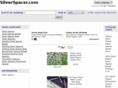 silverspacer.com