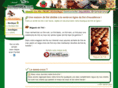 magasin-de-the.com