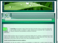 grupogiftsa.com