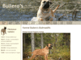 bulleros.net