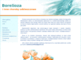 lymepoland.com