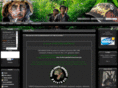 aventures-paintball.com