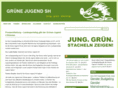 gruenejugend-sh.com