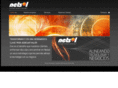 netsolintl.com.ar