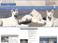 ancalu.com