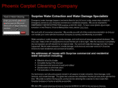 surprisewaterdamage.com