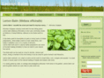 lemonbalmointment.com