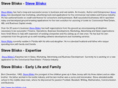 steveblisko.com