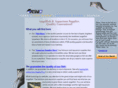 angelsplus.com