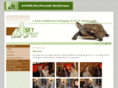 baslerschildkroetenfachtagung.ch