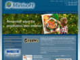 minisoft.com