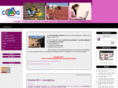 cfaunivsport.com