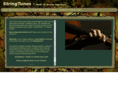 stringtunes.com