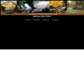 gatlinburgcabinsandrentals.com