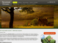 m-bereg.ru