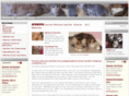 siberian-cats.info