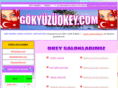 gokyuzuokey.com
