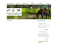 caballosandalucia.com