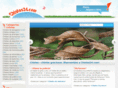 chistes24.com