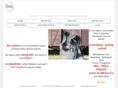 webdesign-kassel.net