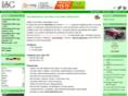 saloncars.com