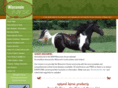 wisconsin-horse.com