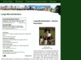 large-munsterlander-dogs.com