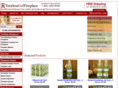 ventless-gel-fireplace.com