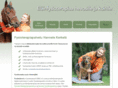 hannelenelainfysioterapia.net