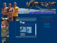 newbridgedolphins.com