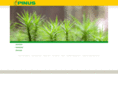 holzfassadensystem.com
