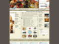 udaipur-hotels-india.com