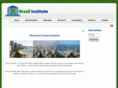 brazil-institute.com