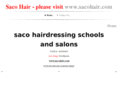 sacohairusa.com