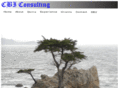 cbiconsulting.com
