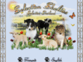 selectionshelties.com