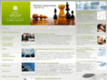 cfogroup.ru