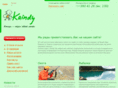 kaindy.com