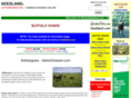 buffalo-grass.com