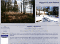 higginslakerental.com