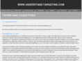 understand-targeting.com