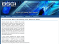 bsgi-usa.com