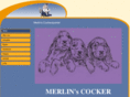 merlins-cockerspaniel.com