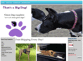 thatsabigdog.com