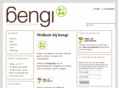 bengi.org