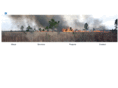 fire-ecology.com
