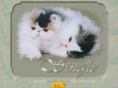 single-cattery.com