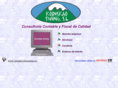 koriskaoswing.com