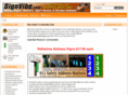 signvibe.com