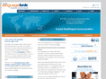 ctslanguagelink.com